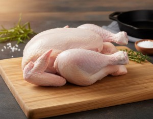 Baby Chicken